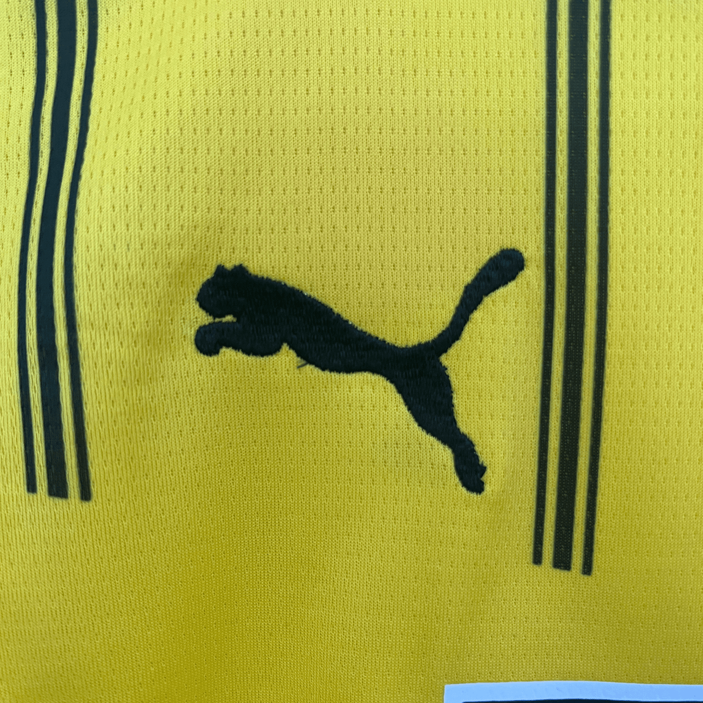 24/25 Borussia Dortmund Home Kids Size Kit
