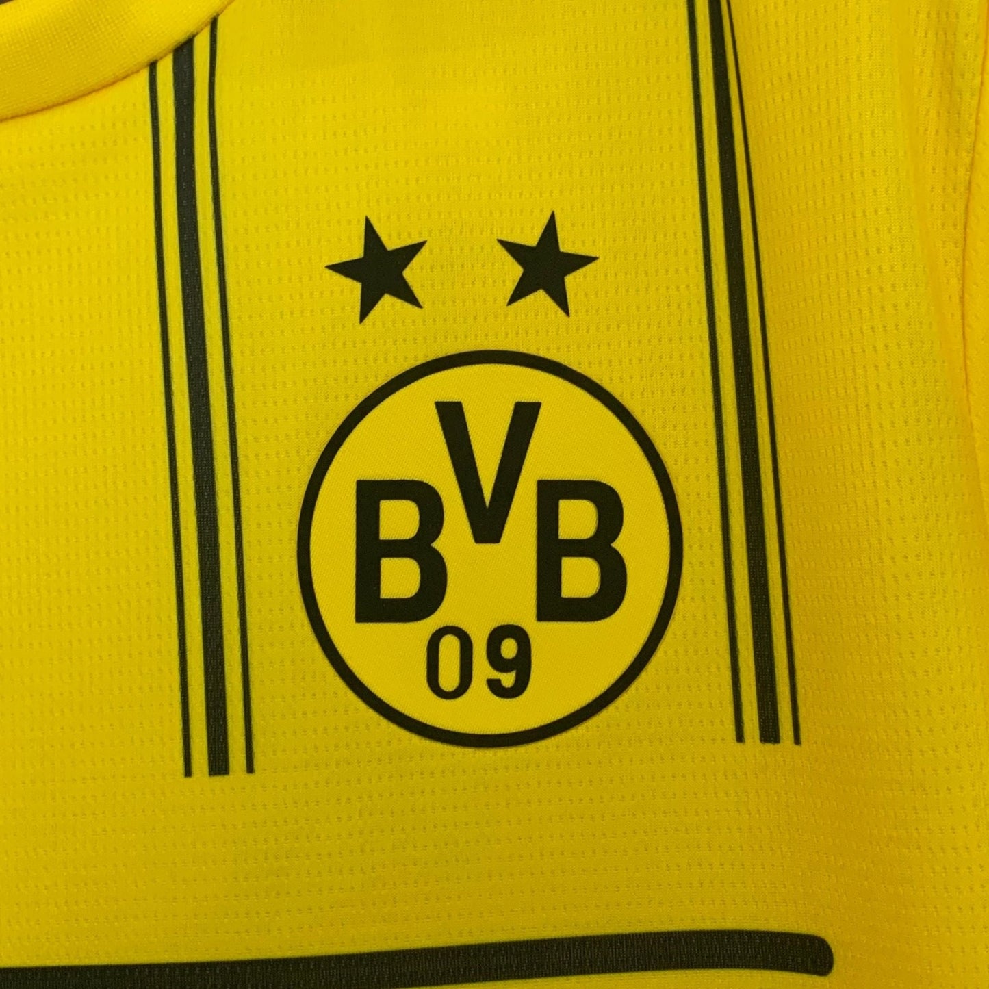 Borussia Dortmund x One Piece Premium Kit